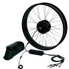 DIY rear wheel electric bicycle kit 350w 500w 750w 1000w