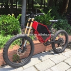 Pedals assisted electric bike easy rider electric motor bike home