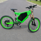 3000w bike e motorcycle electric bike for man