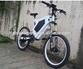 24" 48V 3000W Electric Bike Fat tyre snow electronic bike/bycicle/ebike