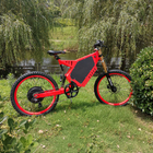 2016 new model 20 inch 48v/29ah lithium battery electric bicycle with 3000w motor cheap e-bike