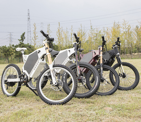 5000W Long Distance Food Taking Delivery Sharing E Bike Electric Bicycle For adult