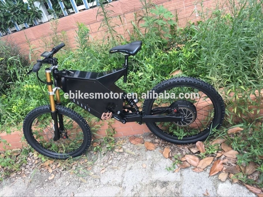 Pedals assisted electric bike easy rider electric motor bike home